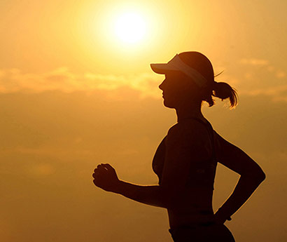 Z6官网文化简述