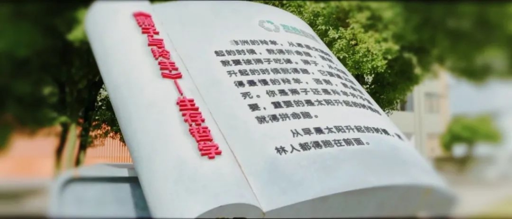 首页- Z6官网中国区人生就是博